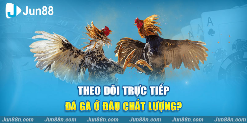 Theo dõi trực tiếp đá gà ở đâu chất lượng?