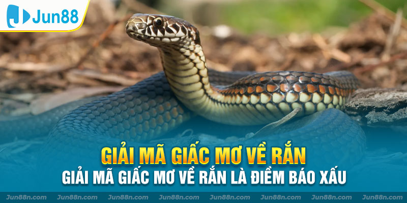 Giải mã giấc mơ về rắn – Giải mã giấc mơ về rắn là điềm báo xấu