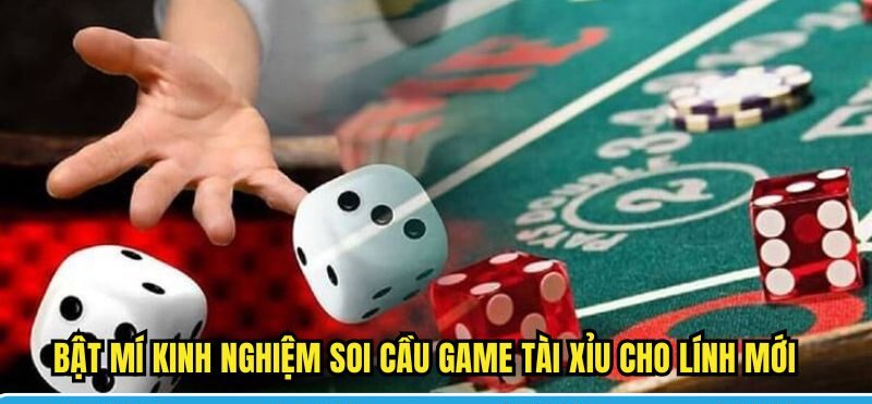 Bật mí kinh nghiệm soi cầu game tài xỉu cho lính mới
